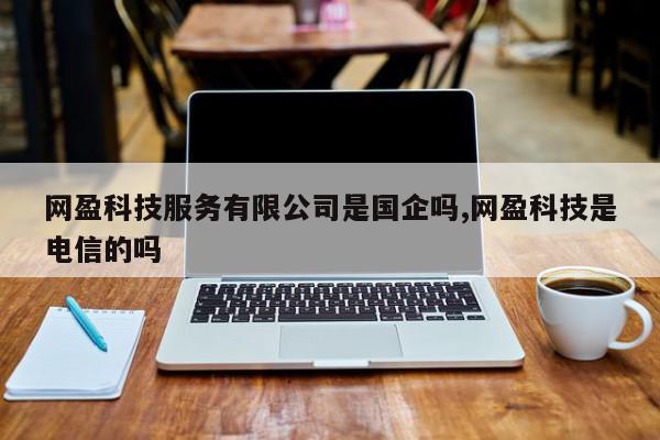网盈科技服务有限公司是国企吗,网盈科技是电信的吗